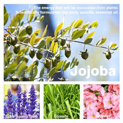 Beauty Ball Essential Oil, Firming Plump Massage Beauty Breast Care Essential Oil